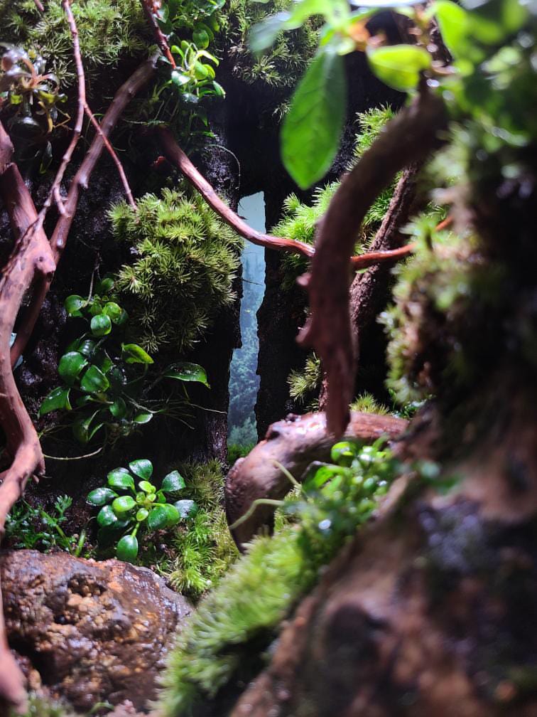 植物育成ライト専門店BARREL公式サイト